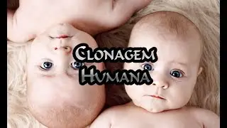 Clones humanos - É possível ?