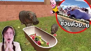 หมูเด้งกับแม่โจน่าบุกเขาวงกต MOODENG Hippo | Mind&Nat