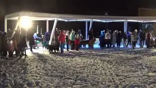 Собаки в Горкинско-Ометьевском лесу