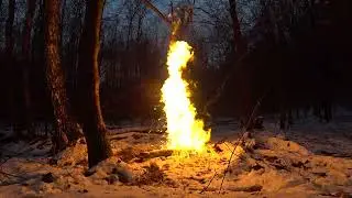 Поехал на коп и РАЗБИЛ КРУЗАКА! От такой радости устроил  Фейерверк* Коп по войне. Metaldetecing WW2
