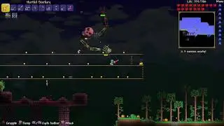 Montage of Terraria bosses
