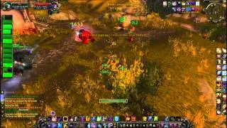 Spriest.wmv