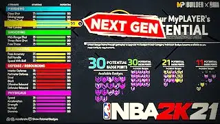 I made the best Small forward build in NBA 2k21 Next GEN!