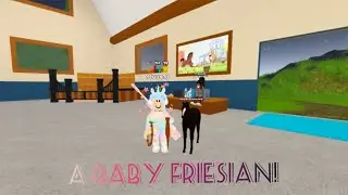 Breeding a Black Friesian Foal in Wild Horse Island - Roblox (New Update)