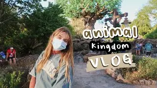 come to animal kingdom with me (and my sisters)!