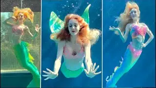 Underwater Mermaid tails' catwalk !