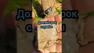 АБИССИНСКАЯ СКВАЖИНА N°1💰🤏