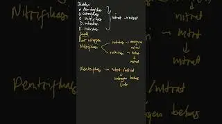 Proses perombakan nitrat menjadi nitrit ke... | Biologi SMA/MA  | Kelas 10 | 10 | Biologi