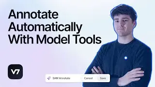 Annotate Automatically With Model Tools | V7 Tutorial