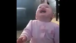 Опа, чирик! 6 sec
