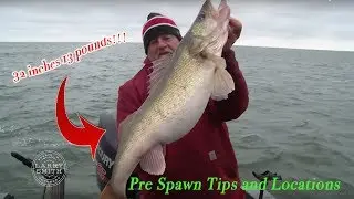 MONSTER Walleyes!!! - How to Jig and locate GIANT WALLEYES!!!