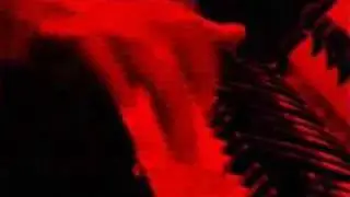 Vaquero - American Woman