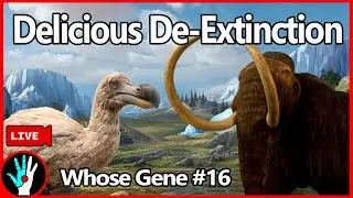 [LIVE] Resurrecting extinct animals... to eat?  | Whose Gene 16