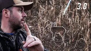 ITS TIME FOR DEER TO DIE