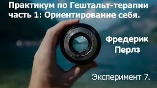 Практикум по гештальт-терапии.