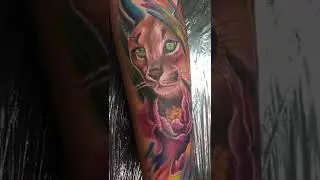 тату каракал 3,5 часа tattoo