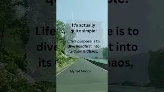 What's the Purpose of Life?
