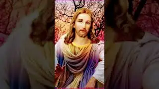 Son Of God Jesus Attitude