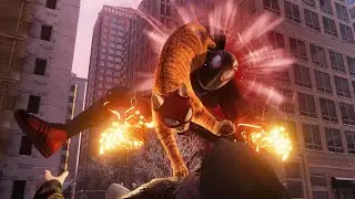 Анимация с котом Marvel's Spider-Man: Miles Morales