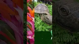 Flamingo Gardens Nursery 2-22 Politobar