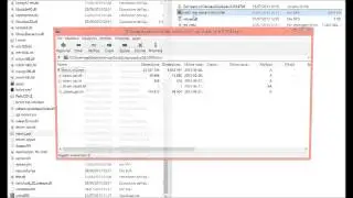 Company of heroes 2 lan (no tunngle)