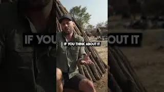 Drinking Cow Blood And Getting Scarified In Africa!