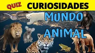 Quiz - Curiosidades do Mundo Animal - 01 | Tribo do Quiz
