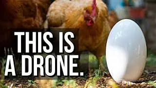 Powervision Poweregg X Drone Review! Europe broke the egg drone...