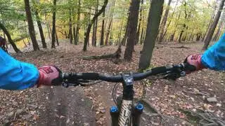 Dansk // whole trail