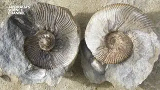 Antarctica with Dr Paul Willis from the Royal Institute of Australia - RiAus
