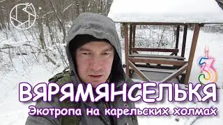 Юбилейный выпуск - 3 года каналу. Прогулка по экотропе Вярямянселькя.