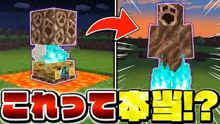 【マイクラ】絶対にありえない！？怪しすぎる都市伝説・バグ裏技を検証した結果...【Minecraft・マインクラフト】