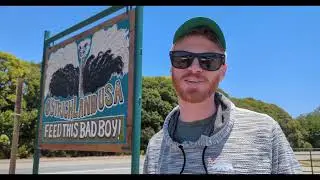 I FED AN OSTRICH!! - Travel Vlog 06-25-2024 Pacific Coast Santa Barabara