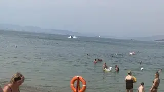 Юра Сушков в прямом эфире КАБАРДИНКА#рекомендации #relaxing