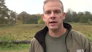Gemeente Bergen (L) - Grootste kleine ergernis