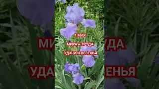 #май #цветы #красота #жизнь #природа #весна #краснодар #любовь #