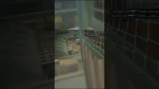 ПРОБЛЕМА ДАЛЬТОНИКОВ В АРЕНЕ #shorts #eft #tarkov
