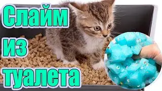 Как сделать слайм из кошачего туалета