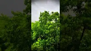 Cyclone Remal  #cyclone #remal