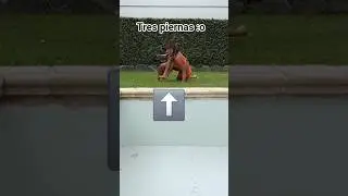 cómo lamía se equivoca 🤣💀 