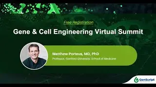 Targeted Integration in Stem Cells: Generating Genetically Engineered Cellular Drugs