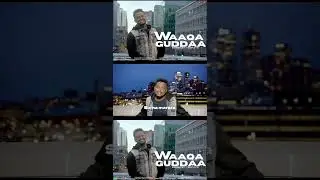 Bereket Tesfaye WAAQA GUDDAA