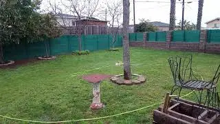 Hummingbird Shower in Lawn Sprinkler