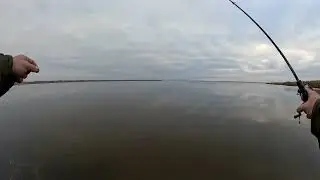 Нарешті ЗНАЙШОВ ЩУКУ В ХЕРСОНІ