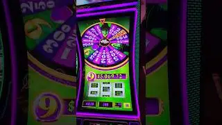 Bonus Win Wizard of Oz Slot Machine #lasvegas #slots #bonus