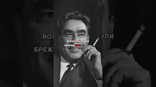 ЧТО СКАЗАЛ СТАЛИН, КОГДА ВПЕРВЫЕ УВИДЕЛ БРЕЖНЕВА?