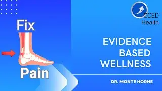 Silbernagel Rehab Exercises for Achilles Tendinopathy
