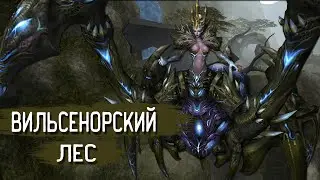 Новое подземелье 36-го эпизода: Вильсенорский лес | Кабал Онлайн (KR)