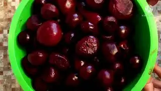 Никогда не выбрасываю мелкую СВЕКЛУ. Делаю из нее вкуснейший САЛАТ-ЗАКУСКУ на зиму.
