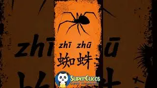 学中文- 蜘蛛 | Learn Chinese SPIDER | Aprender Chino - ARAÑA 
